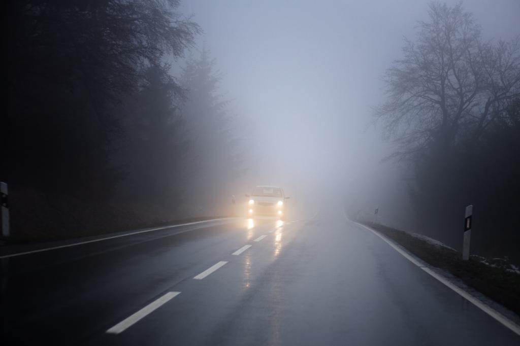 туман на дороге